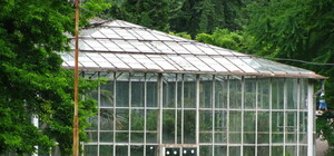 У Стрийському парку  почали відновлювати оранжерею