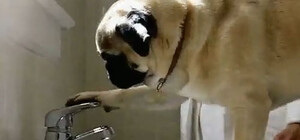 Від сьогодні частина Львова залишилася без гарячої води: коли включать