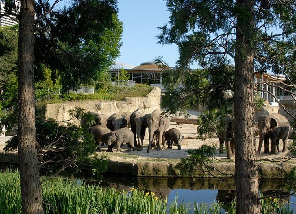 Кельнский зоопарк. Фото взято с сайта travel.rambler.ru