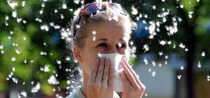 Четыре майских напасти: как уберечься и распознать [Фото]