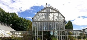 Завтра у Львові відкривають оранжерею: де саме