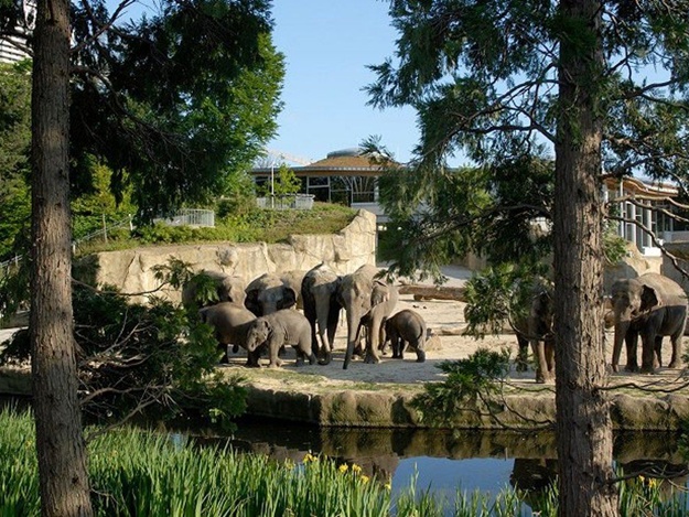 После глобальной реконструкции Харьковский зоопарк станет первым в Украине зоопарком европейского класса.
