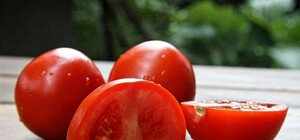 Получи ответ: почему подорожали помидоры и когда подешевеют