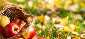 Яблочный спас 2016: куда пойти в Днепре