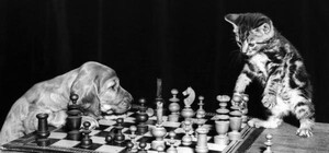 В Харькове массово сыграют в шахматы: как поучаствовать