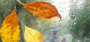 Какая погода будет на этой неделе