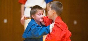 Самбо в школе: крымских детей хотят научить защищаться