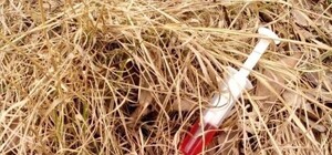 У львівському дитсадку прокоментували випадок щодо шприца з ВІЛ інфекцією