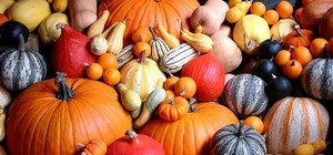 Львів'ян запрошують на гарбузову паті: де, коли, що буде цікавого