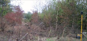 На Львівщині виявили тіло дівчини, яка була в розшуку