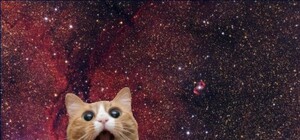 Днепрянам предлагают перебраться на Марс: узнай, как