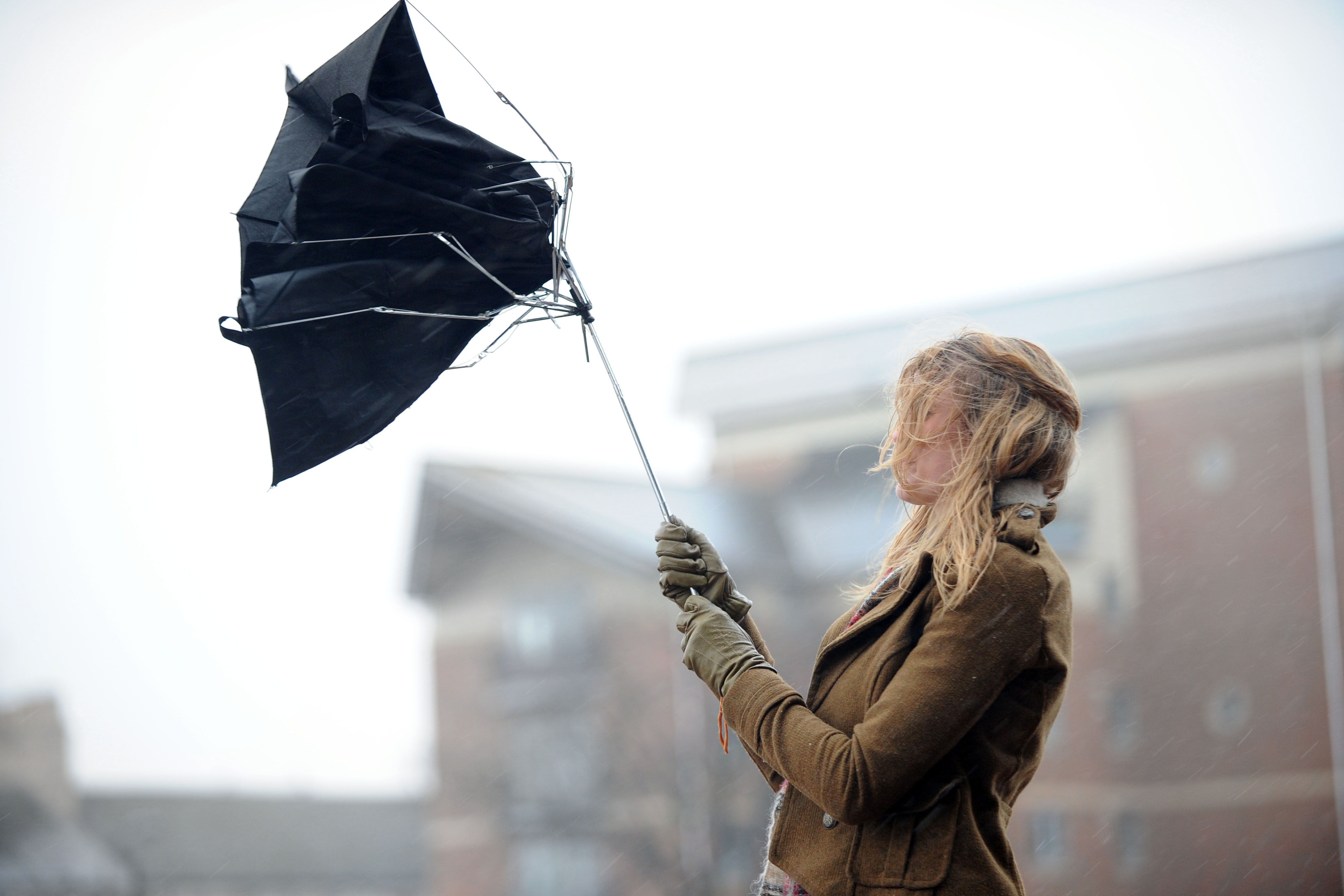 Новость - События - Зонт не спасет: когда в Харькове ожидаются сильные дожди со шквалами