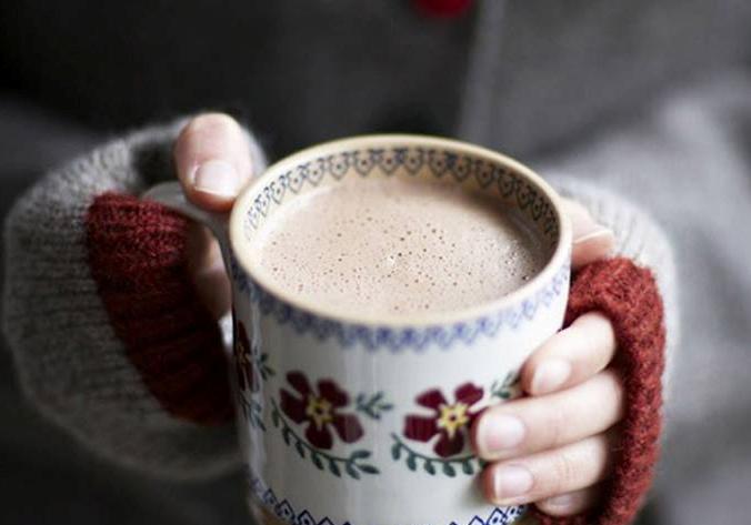 Новость - Досуг и еда - Сиди дома, пей какао: в Харьковской области приготовились к обильным снегопадам