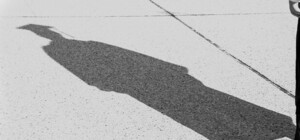 Не пропусти: 25 января Никитский ботсад объявил свободный вход для всех студентов Крыма