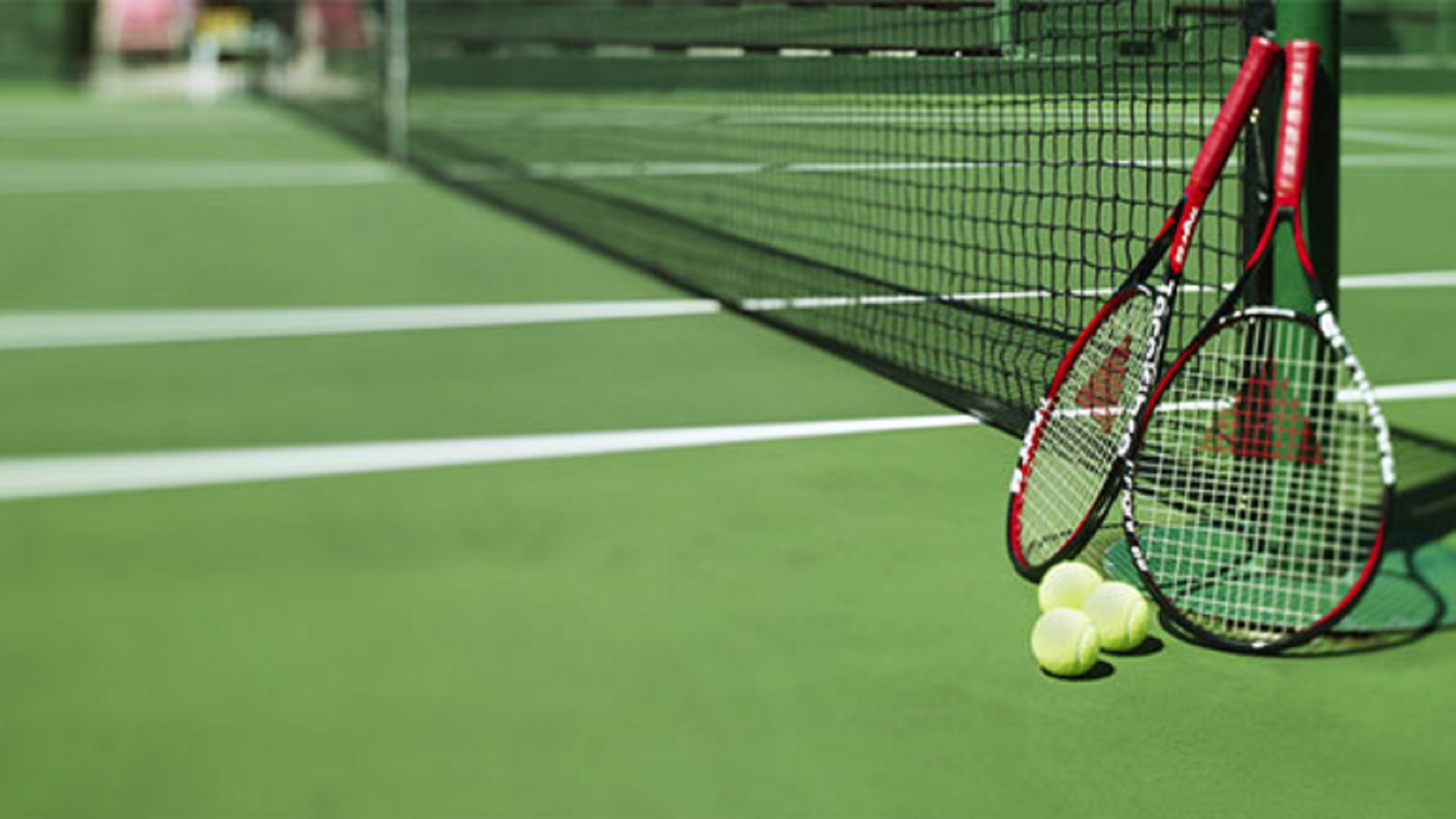 Новость - Спорт - Приходи поболеть: в Харькове пройдут матчи кубка мира по теннису