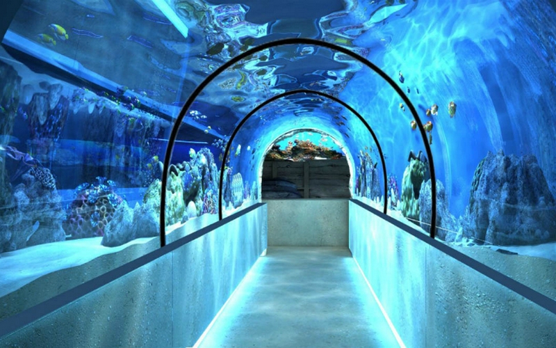 Новость - Досуг и еда - Царство Посейдона: в харьковском зоопарке появится океанариум