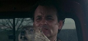 День сурка по-запорожски: животные проспали свой праздник