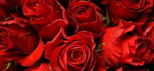 Гадання на валентинках і найдовший поцілунок: як святкують День Святого Валентина