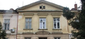 Фотофакт: Львовом бігає пацієнт з 