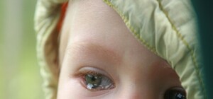 Жахливе відео: на Львівщині дитину годували з собачої миски