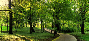 Дізнайся: де у Львові створять новий парк