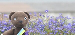 Мы знаем: что обсуждают киевляне 10 марта