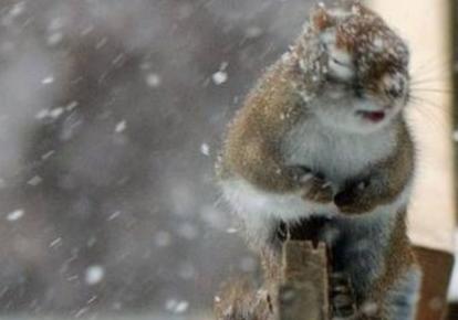 Новость - Досуг и еда - И снова здравствуйте: начало новой недели харьковчане могут встретить со снегом