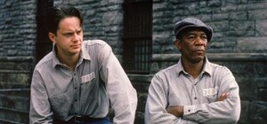 Цифра дня: сколько Польша приняла беженцев из Украины