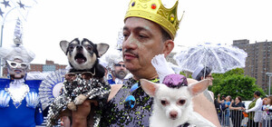 Яркие, эпатажные и сумасшедшие: в Одессе пройдет парад фриков