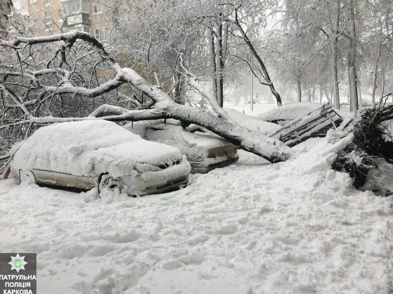Новость - События - Так себе апрель: упавшие от ветра и снега деревья разбили больше десятка машин