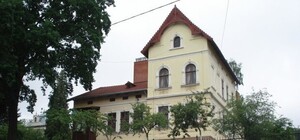 Музика Моцарта, спілкування, дрес-код: у Львові стартує проект 