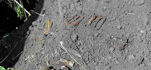 В Полтаве приостановлена стройка на человеческих останках