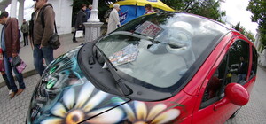 В Севастополе разрисовали машины дикими зверями