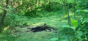 Убийство Татьяны Маснюк: одесские журналисты нашли фрагменты останков