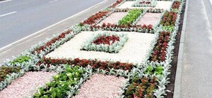 Фотофакт: на проспекті Чорновола з'явився квітучий рушник