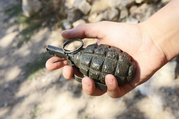 Новость - События - Опасная находка: на Павловом Поле нашли противотанковую мину и гранату