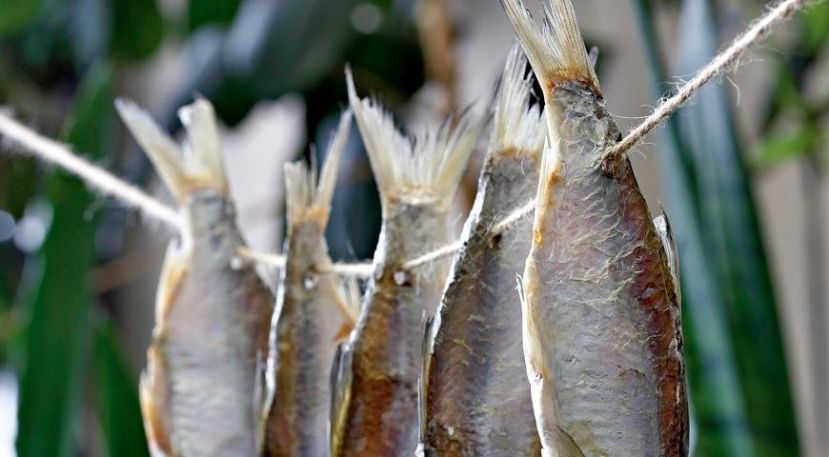 Новость - Досуг и еда - Осторожно – ботулизм: в Харьковской области изъяли около 300 кг рыбы