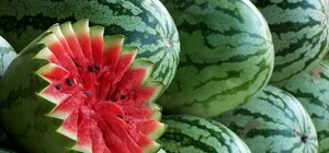 Де у Львові можна буде торгувати кавунами і динями: перелік місць