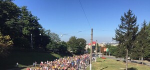 Маршрут: сьогодні зі Львова відбудеться паломницька хода