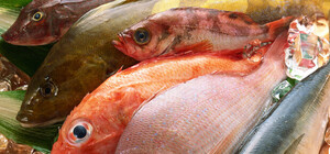 Смертельный ужин: женщина умерла из-за рыбы, купленной в харьковском супермаркете