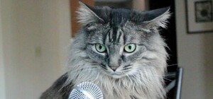 АМКУ vs Киевсовет: будут ли продавать алкоголь ночью в Киеве