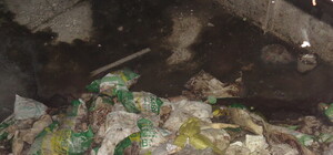 Полтавщине угрожает экологическая катастрофа - СМИ