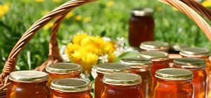 Де та коли: львів’ян кличуть на міжнародний фестиваль меду