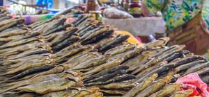 Осторожней: из-за ботулизма на Харьковщине изымают из продажи рыбу