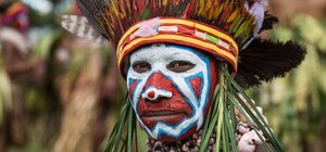 Фотофакт: активистка Femen пришла на допрос в костюме папуаса