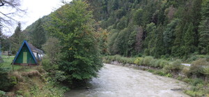 Цілком таємно: в Карпатах знайшли три державних бази відпочинку, про які ніхто не знав