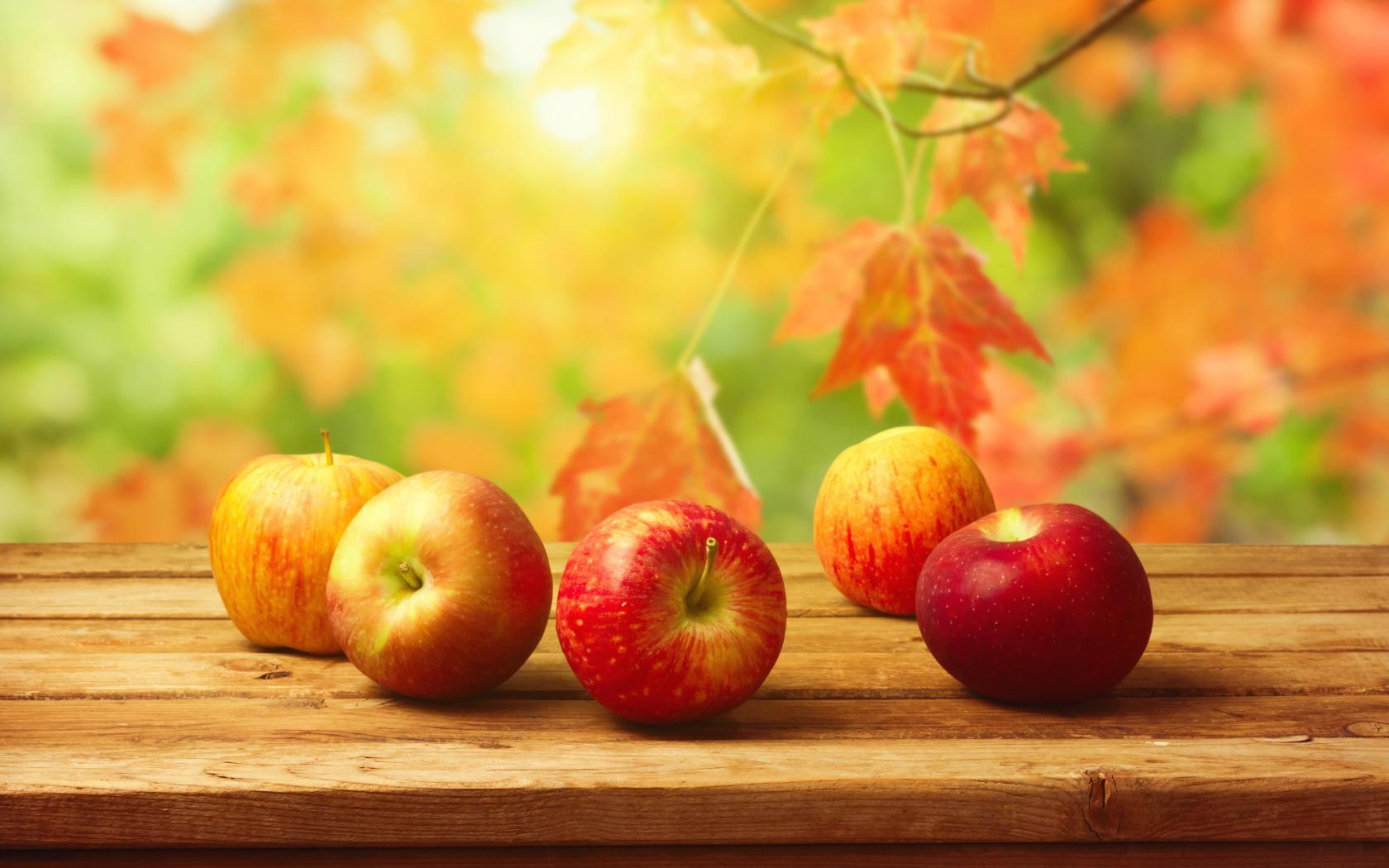 Новость - Досуг и еда - Запасайся сейчас: что будет с урожаем яблок в Харькове в этом сезоне