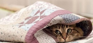 Є відповідь: стало відомо, коли у Львові планують вмикати опалення