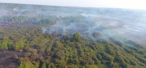 Ідея на мільйон: на Львівщині придумали, як відвертати масштабні пожежі