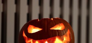 Зверское уничтожение: куда нести тыквы после Хэллоуина